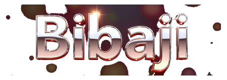 bibaji logo